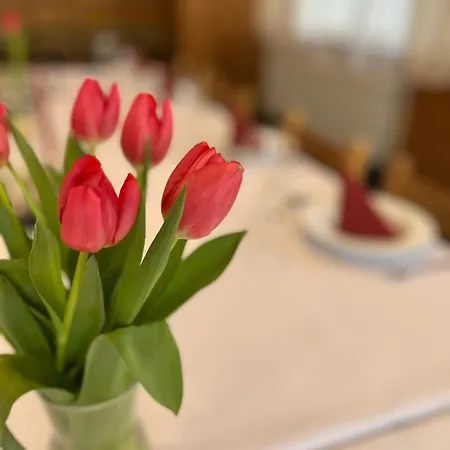 Hotel U Kociana *